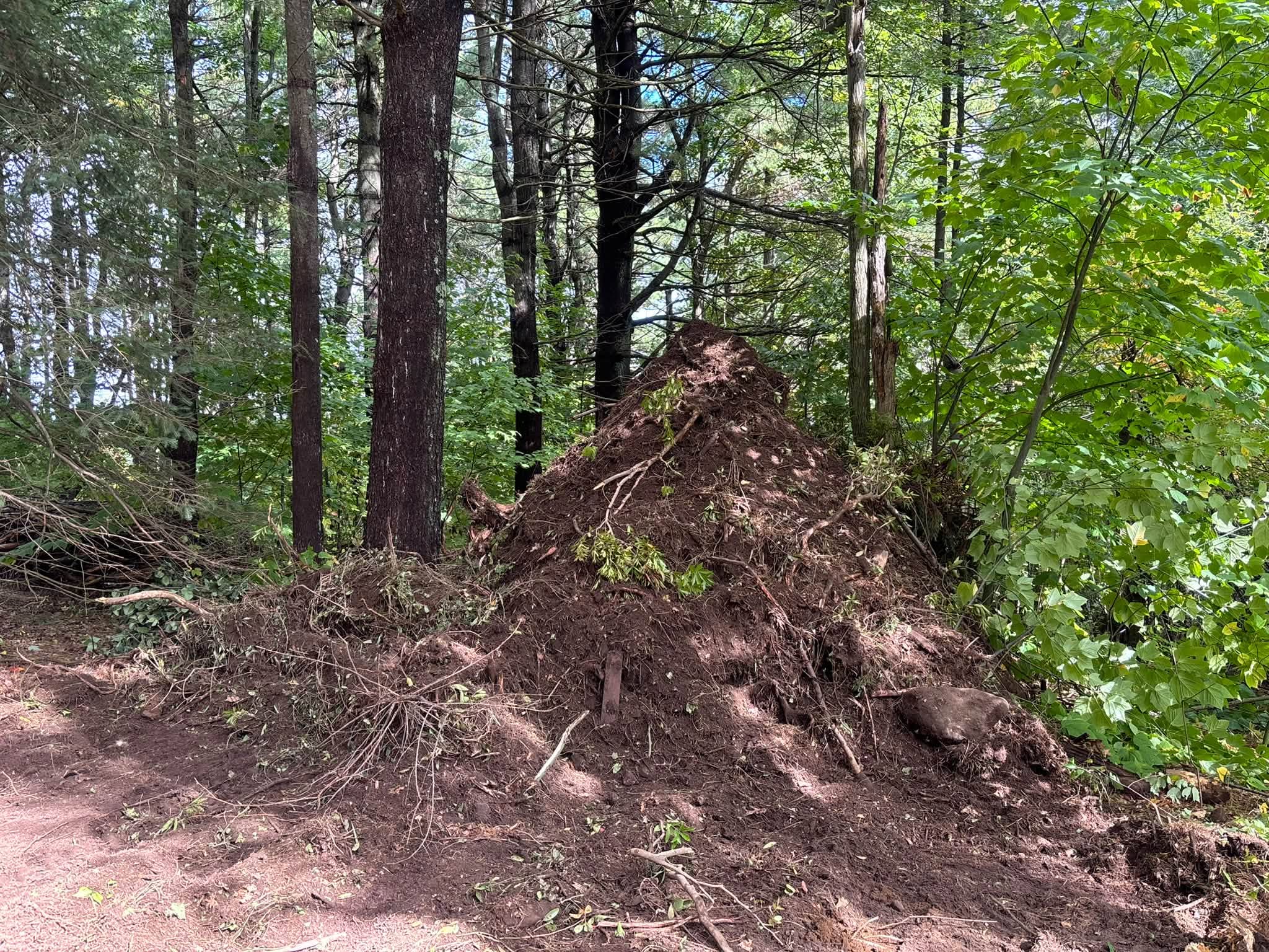 Brush removal and debris consolidation — Princeton, MA